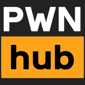 pwnavi